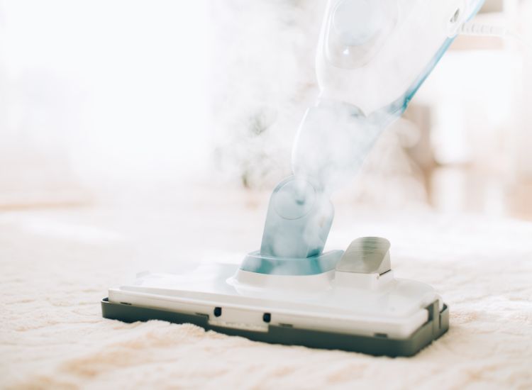 Expert Tips for Keeping Carpets Clean in High-Traffic Areas: Insights from Dream Cleaning in Chicago